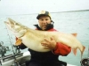 Andy Luchovick 50 Inch x 30
