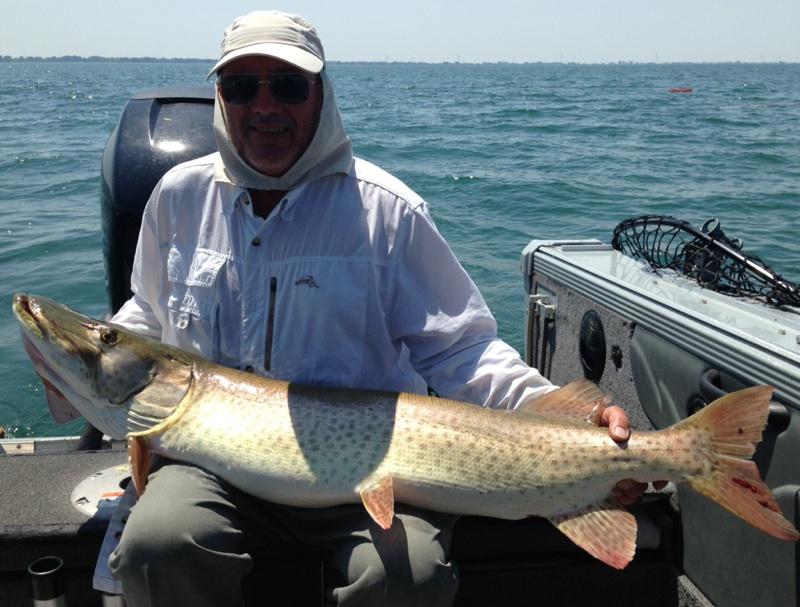 BILL LSC 50.25 2014