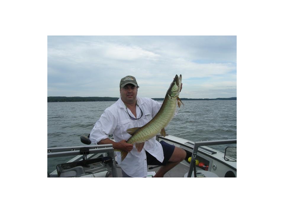 Dave Palo 43 Inches