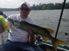 30-inch-humpback
