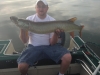 42-inch