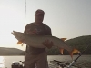 Dustin Thompson 52.5 Kinzua