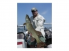 Dave Palo 40 Inches