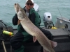 Joel St Clair 54.5