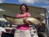 Chautauqua 49 Inch