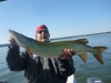 Tom Simon 37 inch