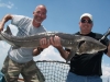 56 Inch Sturgeon